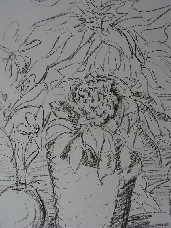 Blumenfenster, 2007, Kohle-Papier, 42x60.jpg